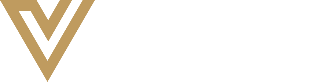 Vision